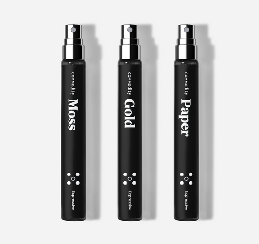 Le trio de voyage de Ash